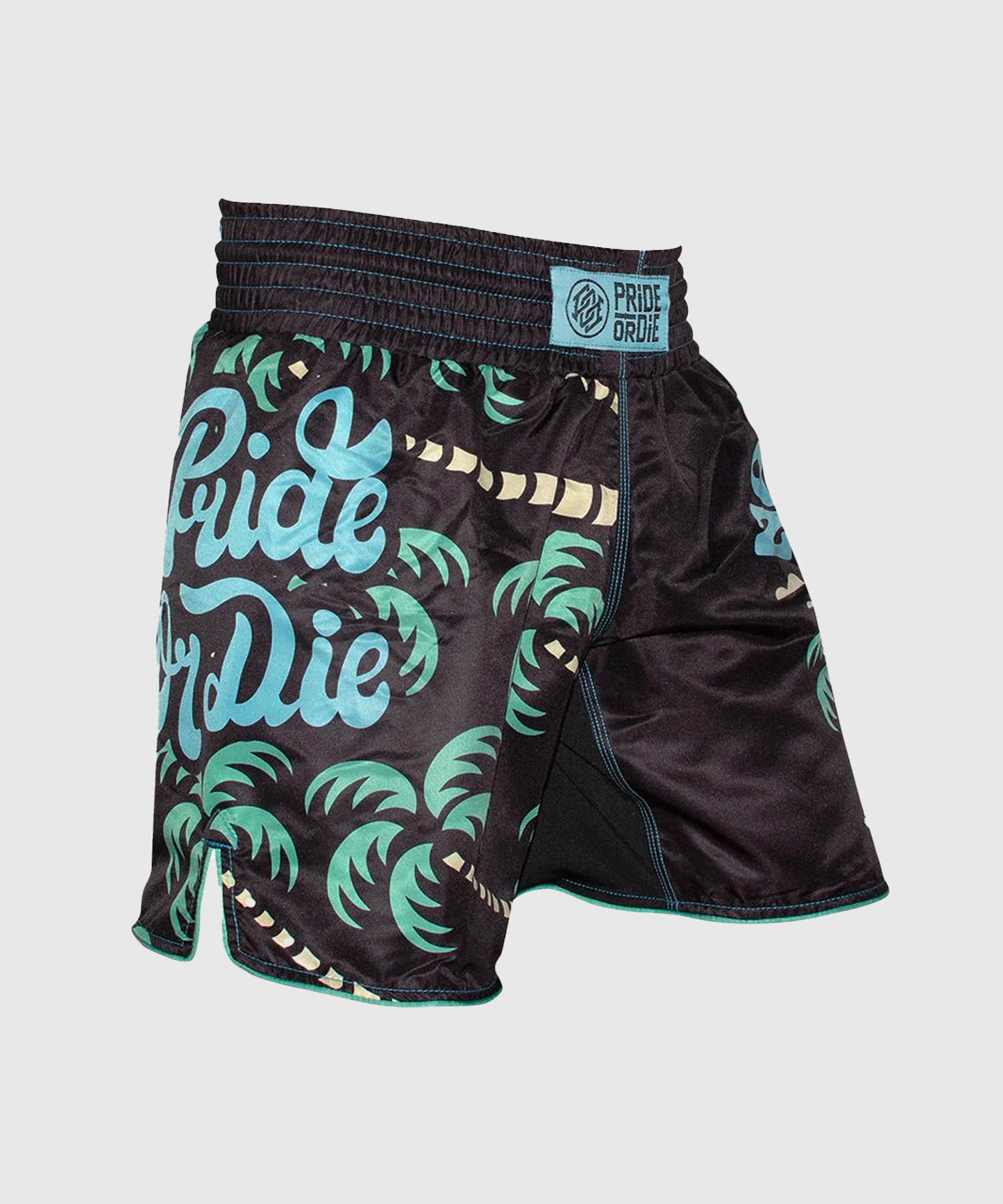 Pride Or Die No Training Fightshorts