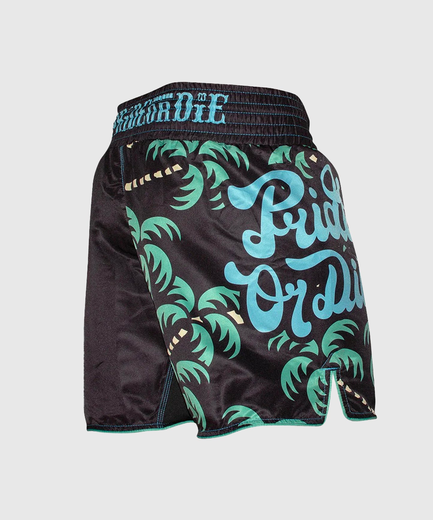 Pride Or Die No Training Fightshorts