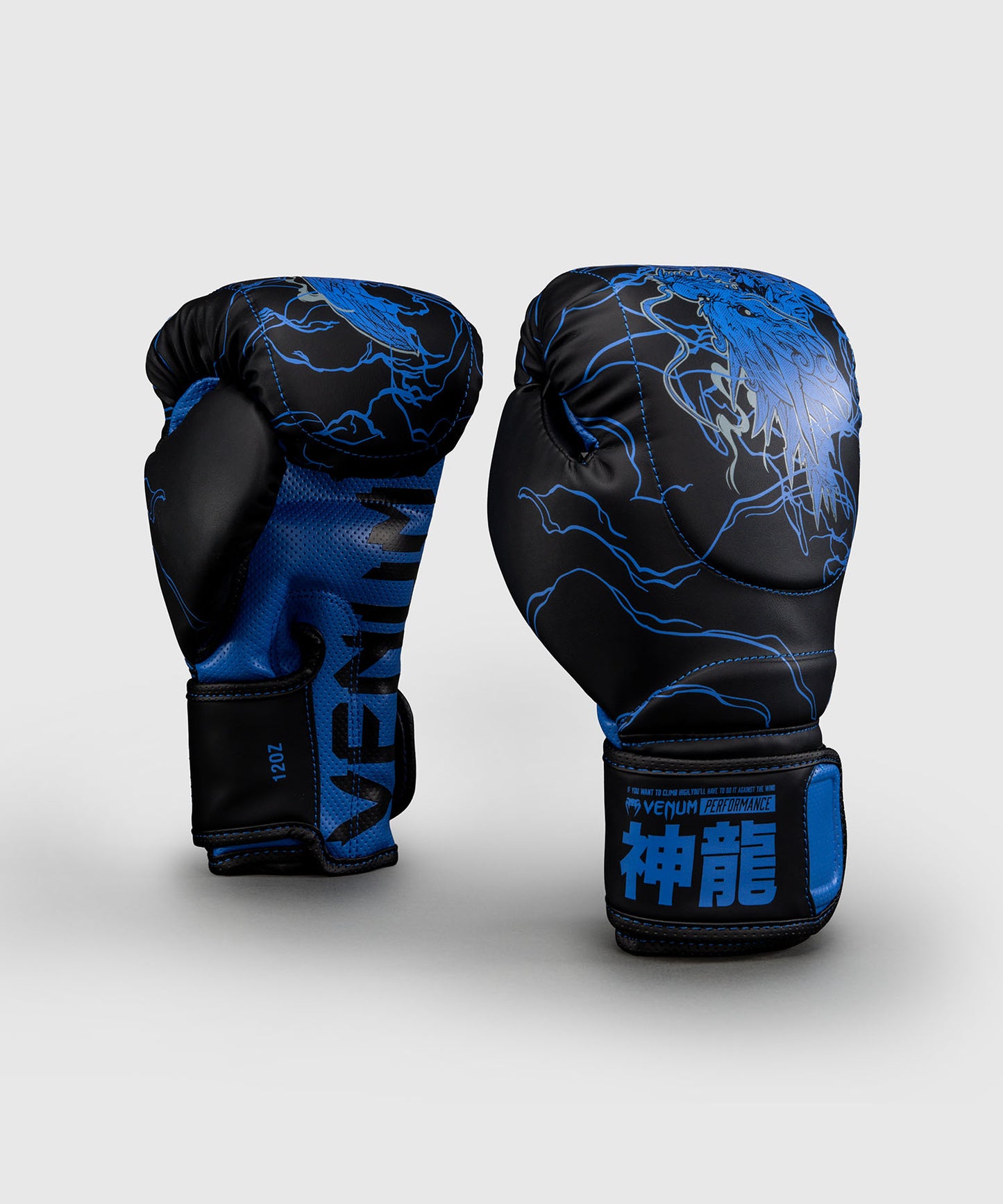 Venum Thunder Dragon Boxing Gloves - Black/Royal Blue