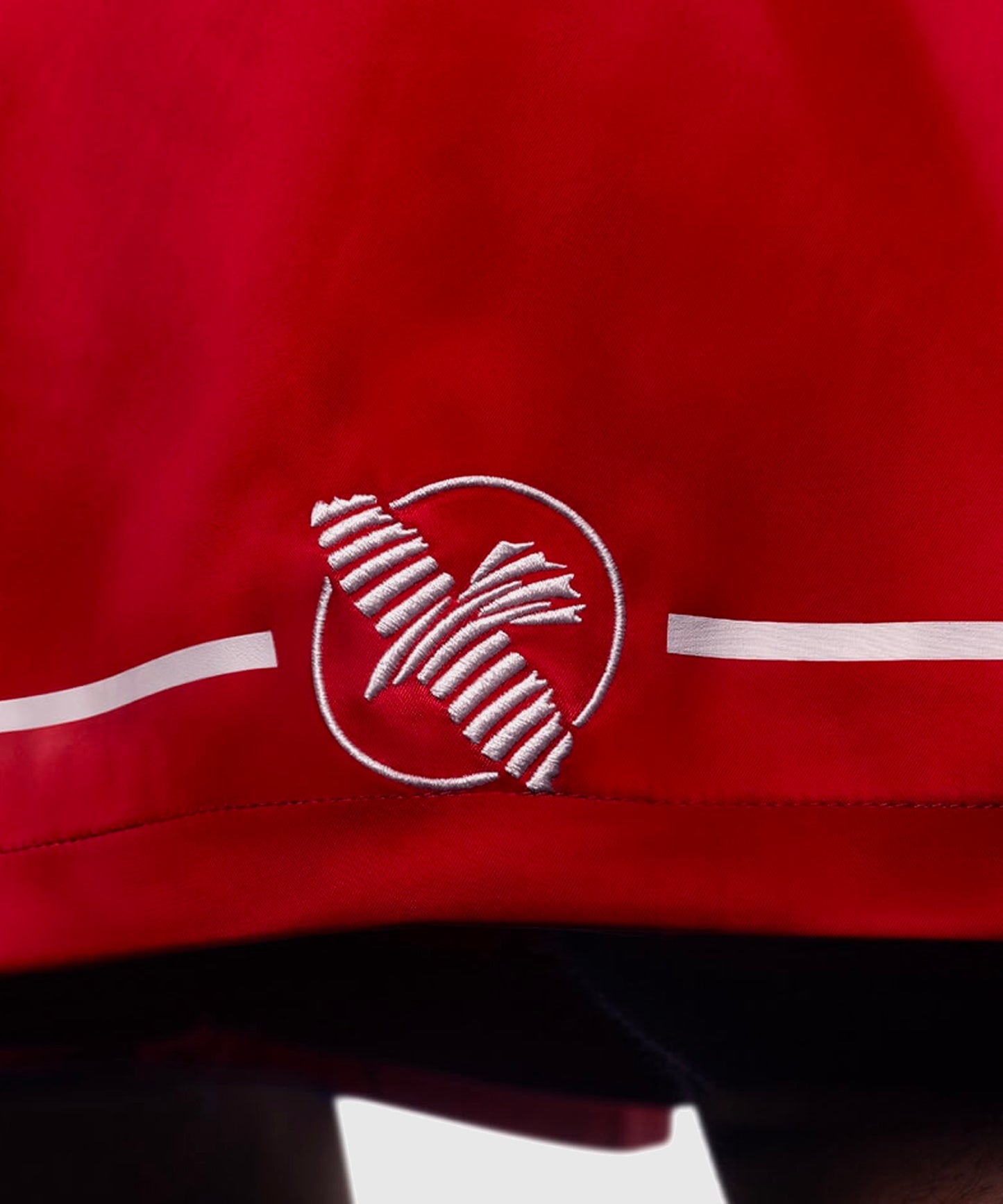 Hayabusa Boxen Fightshorts - Rot