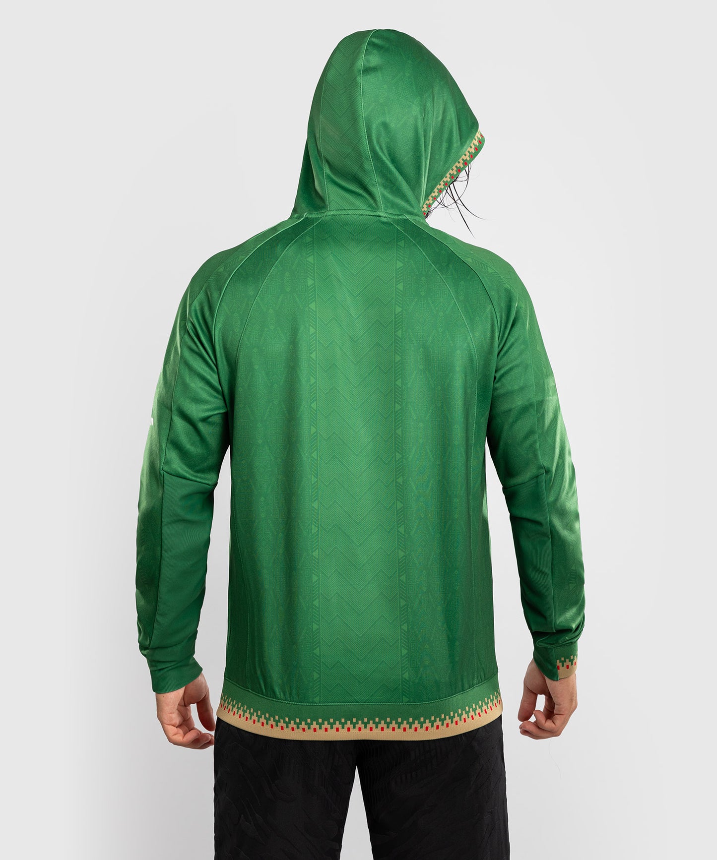 Noche UFC 2.0 By Venum Authentic Fight Night Felpa con cappuccio - Verde