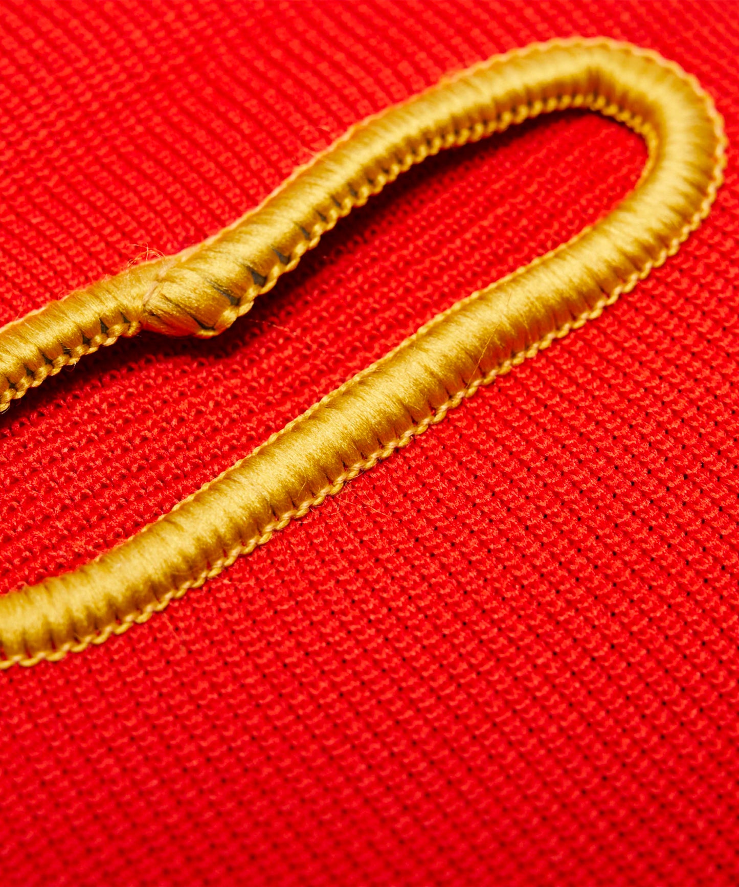 Leone DNA Parastinchi - Rosso