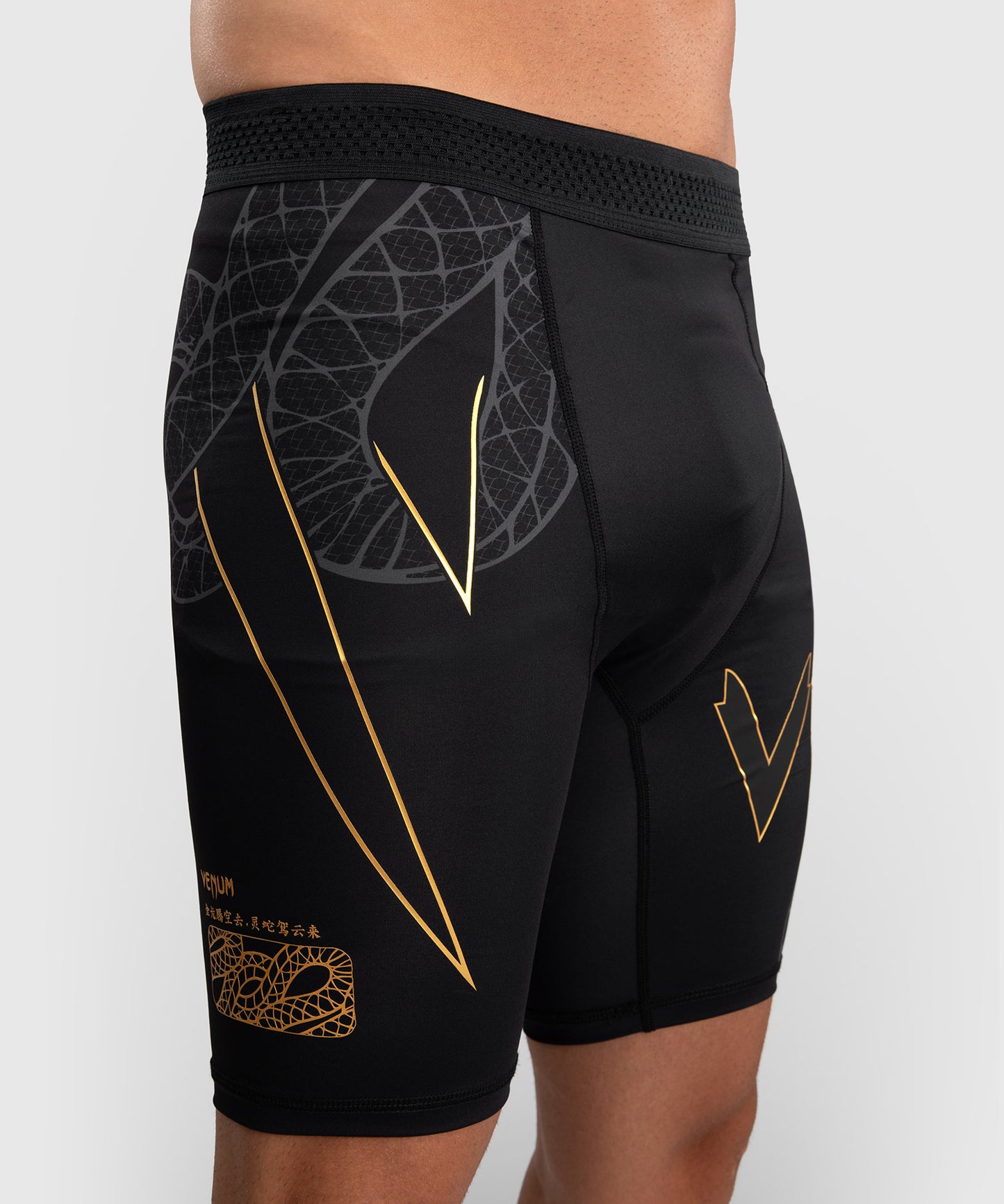 Venum Serpenti Vale Tudo Shorts - Black/Silver/Gold