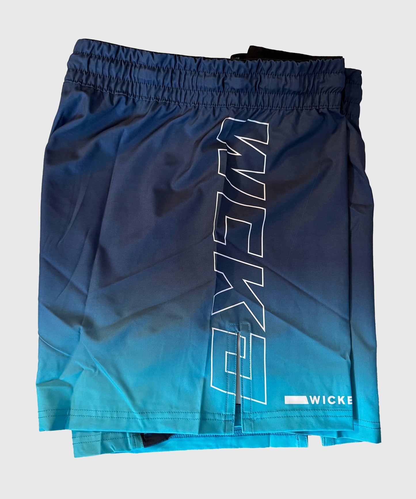 Short de MMA Wicked One Court Raw - Bleu