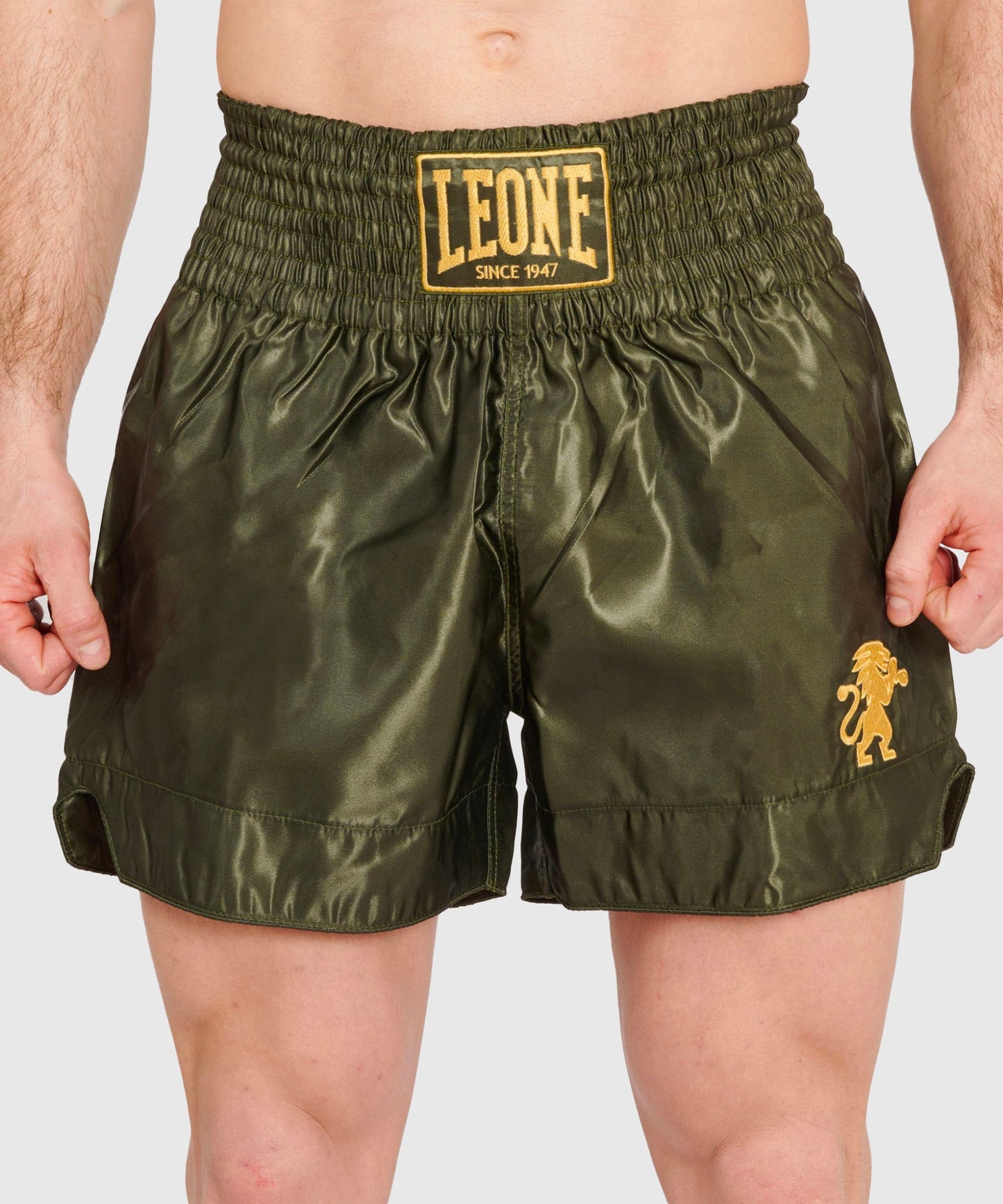 Short Muay Thaï Leone Basic - Kaki