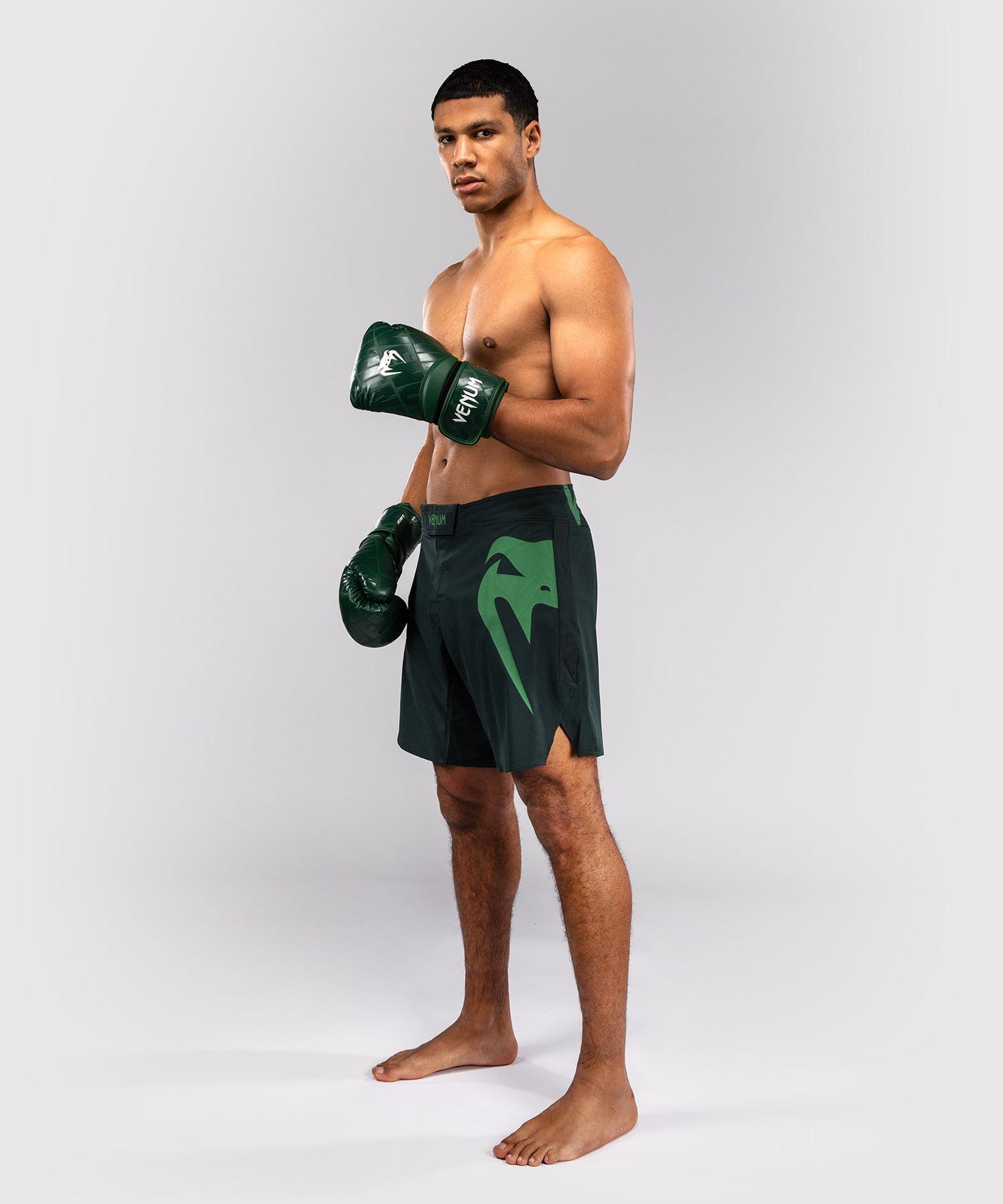 Venum Light 5.0 Fightshorts - Waldgrün/Hellgrün