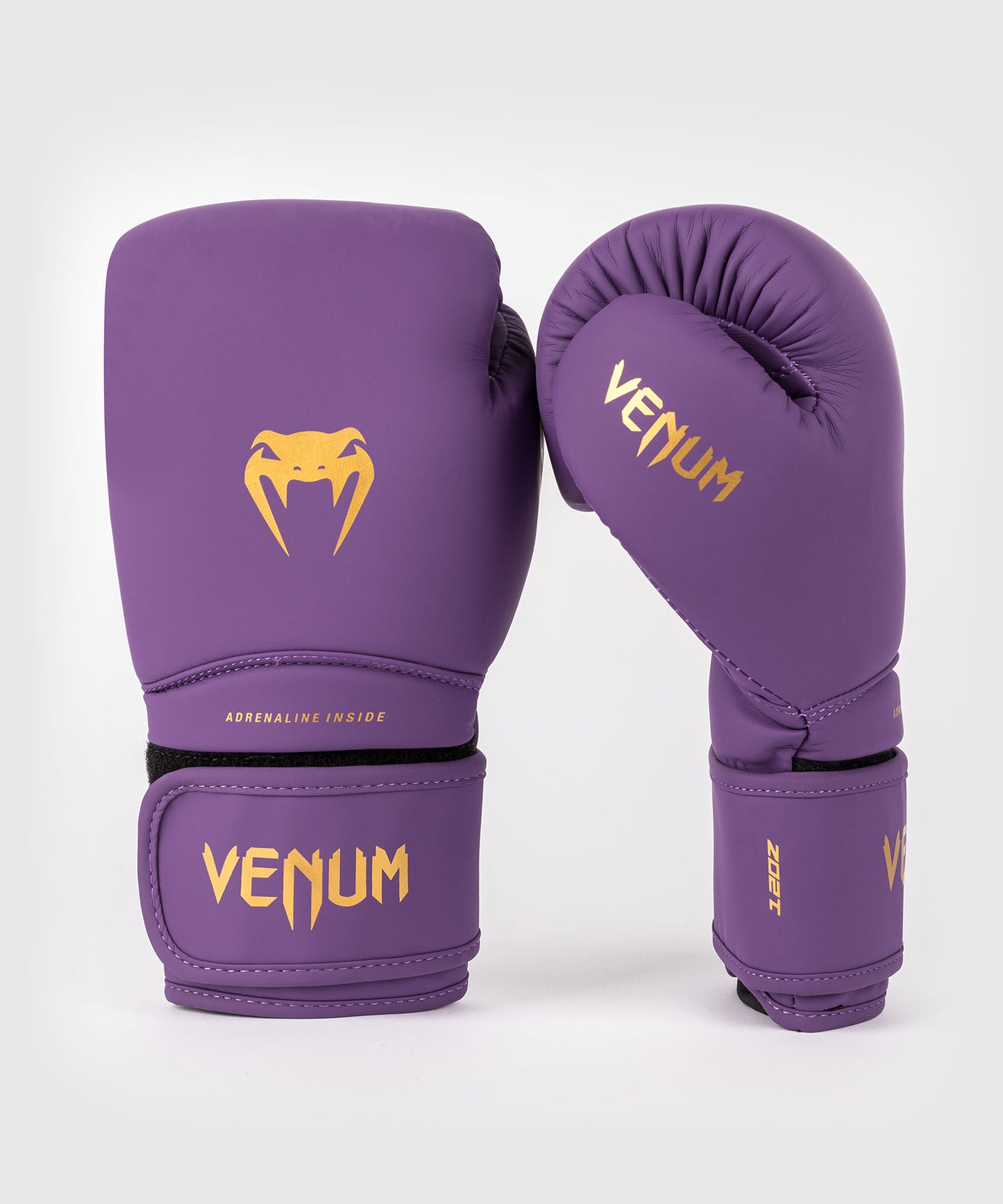 Gants de boxe Venum Contender 1.5 - Violet foncé