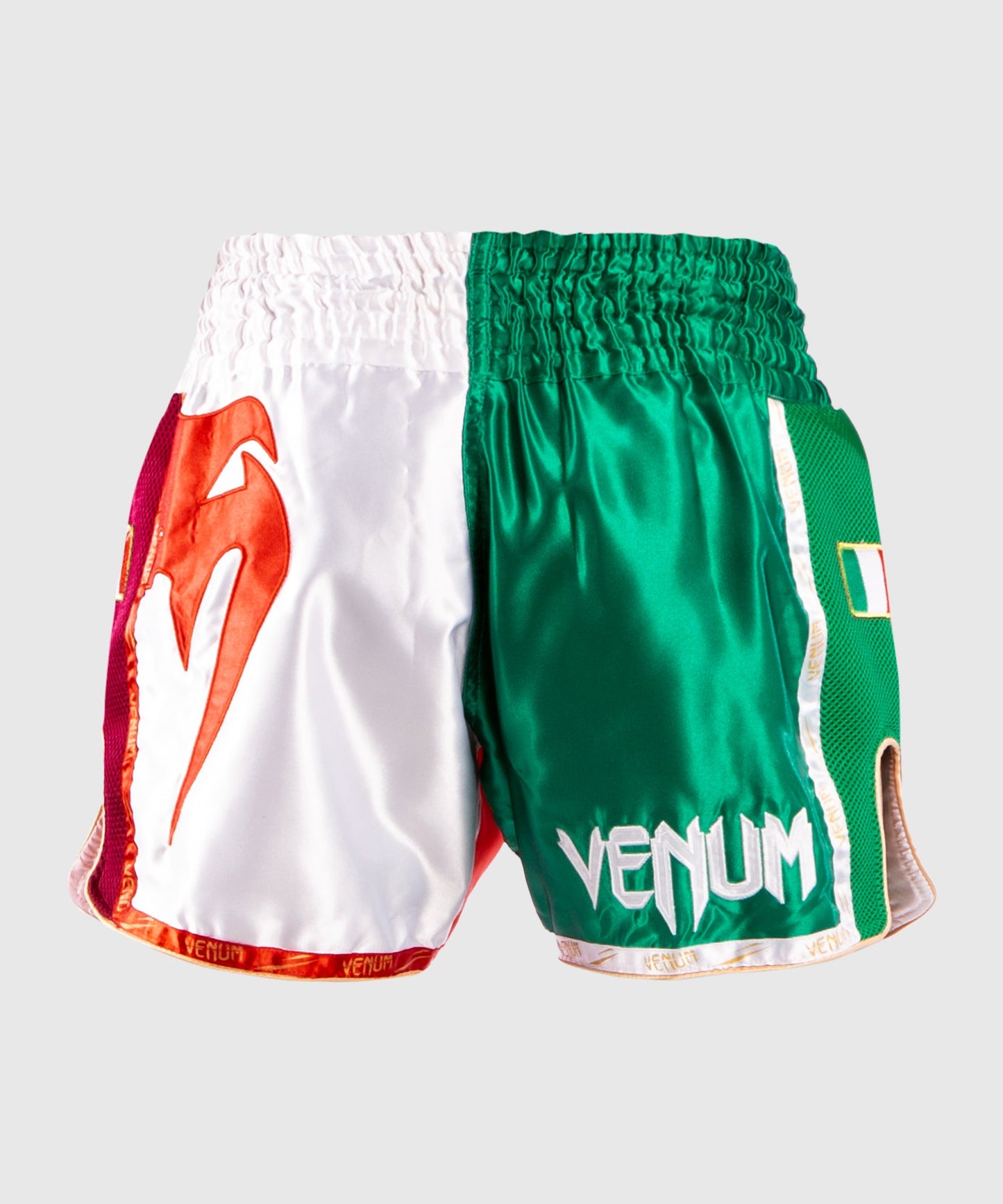 Venum MT Flags Muay Thai shorts - Italy