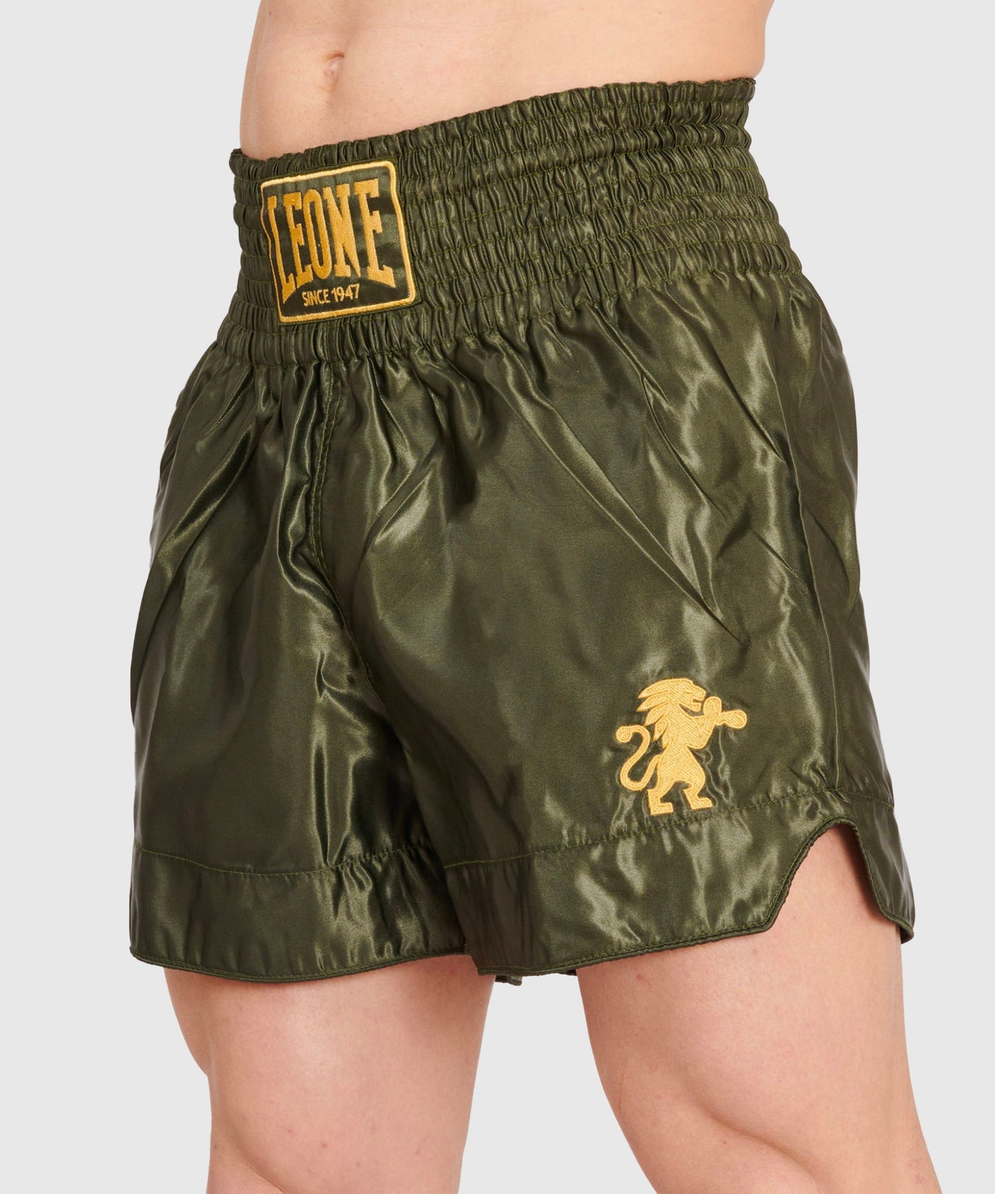 Short Muay Thaï Leone Basic - Kaki