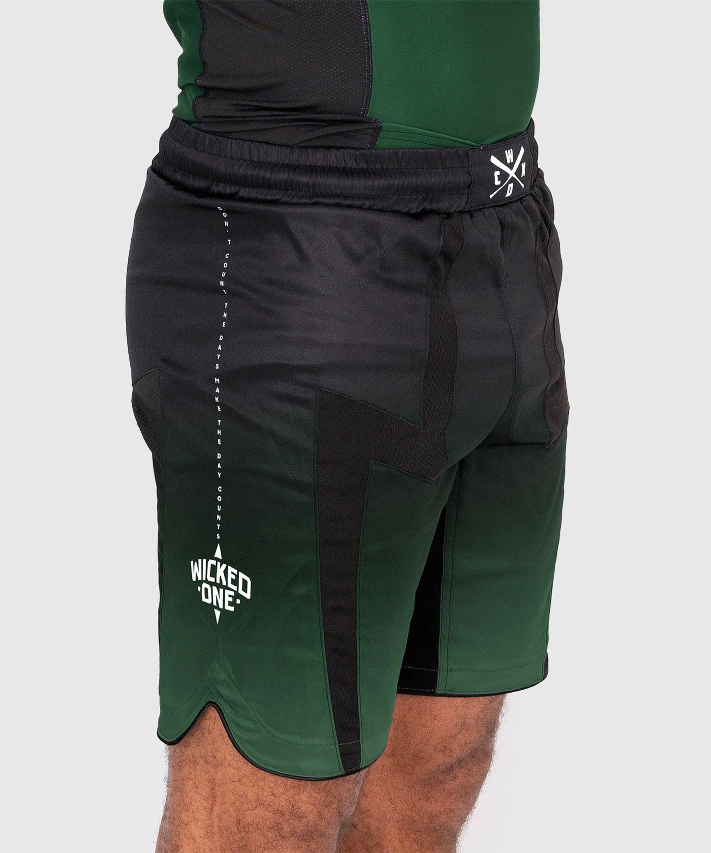 Wicked One Eager Ghost Fightshorts - Nero/Cachi