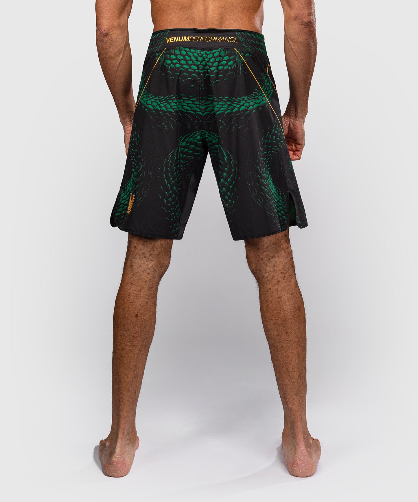 Venum Matupa Fightshorts - Schwarz/Grün/Gold