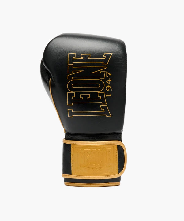Gants de boxe Leone DNA Premium – Noir