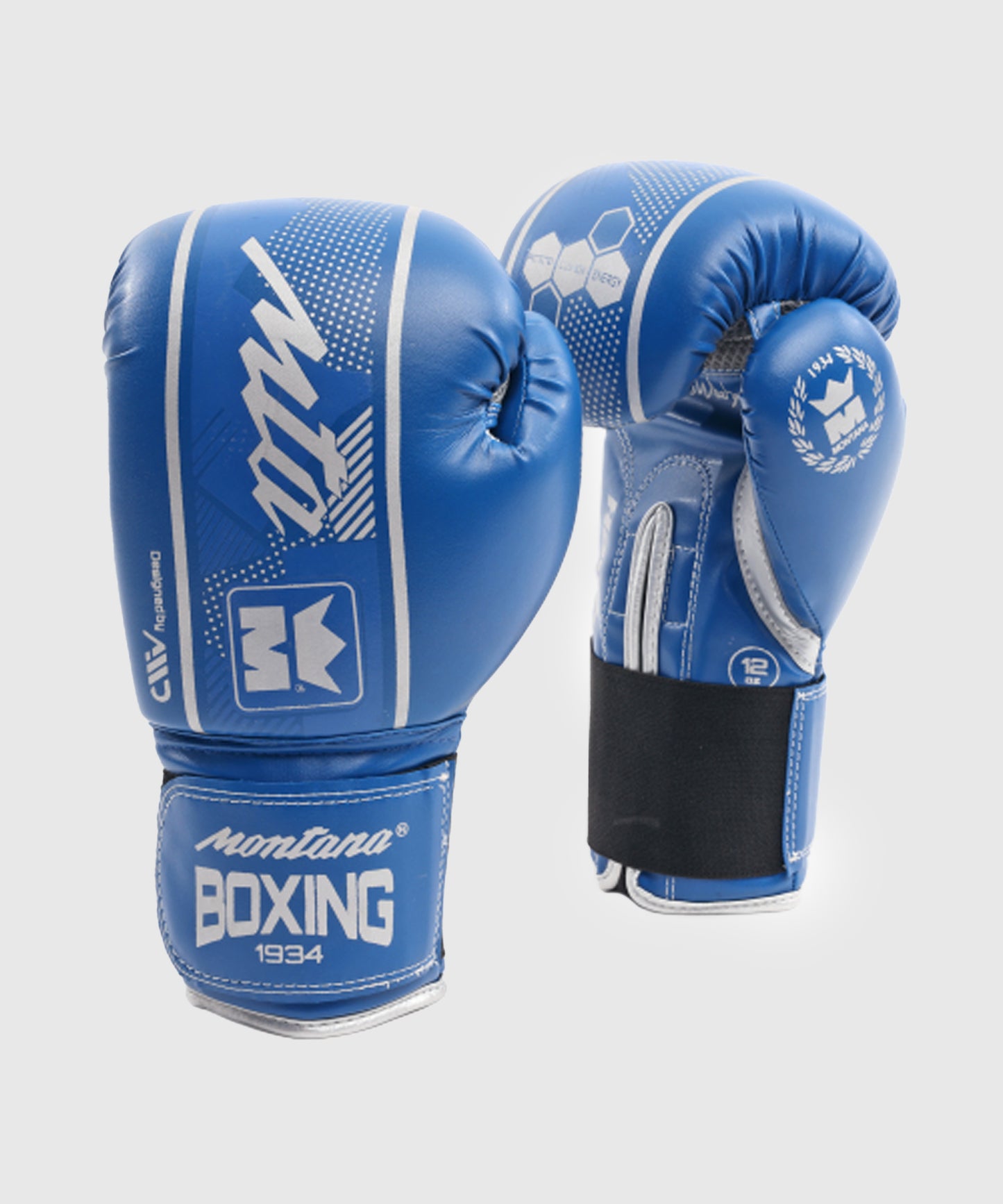 Gants de Boxe Initiation MultiBoxes Montana Hawk - Bleu