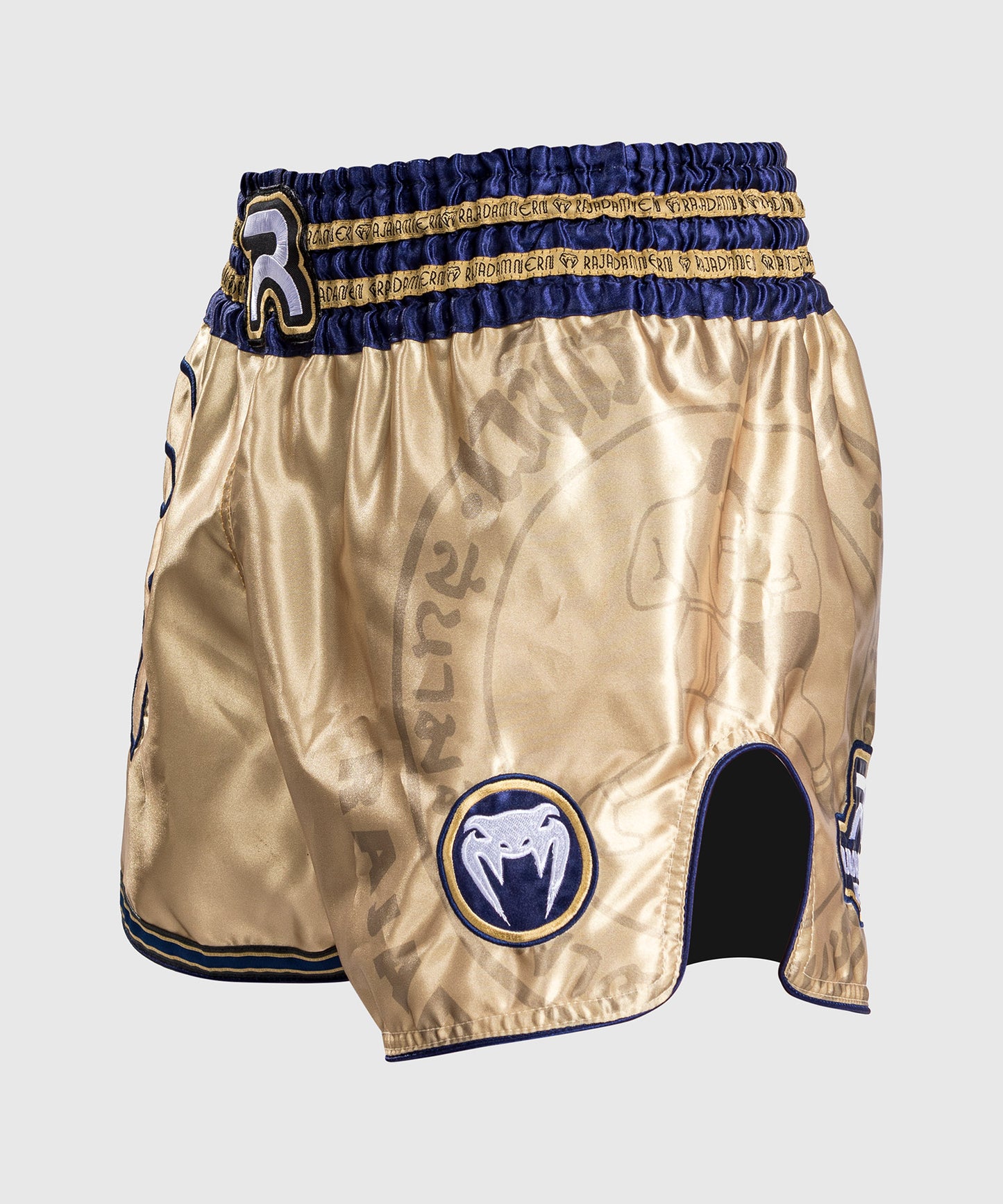 Pantalones Cortos de Muay Thai Venum RAJADAMNERN - Arena