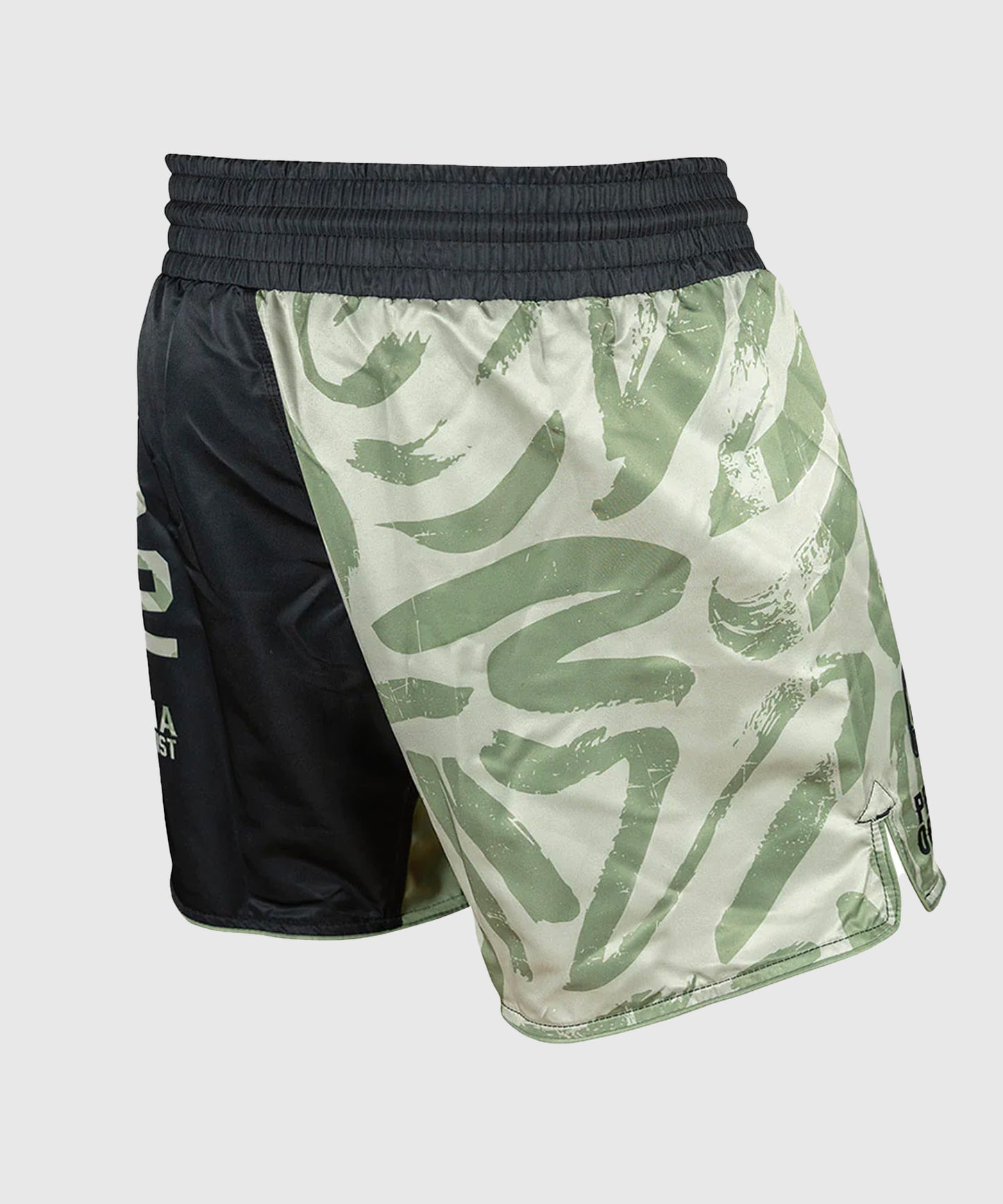 Pride Or Die Cage Control Fightshorts