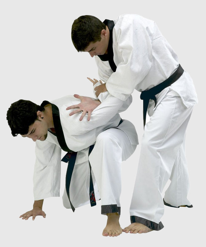 Fujimae Expert Hapkido-Anzug