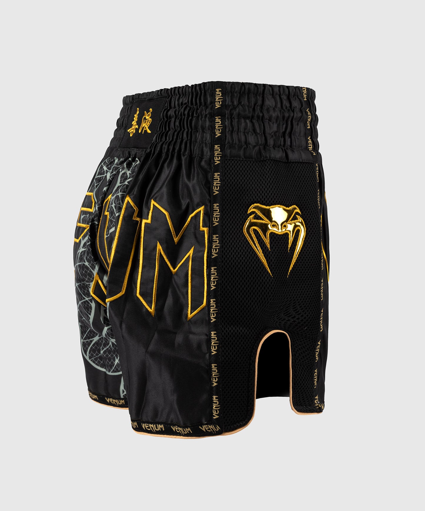 Venum Serpenti Muay Thai Shorts - Black/Silver/Gold