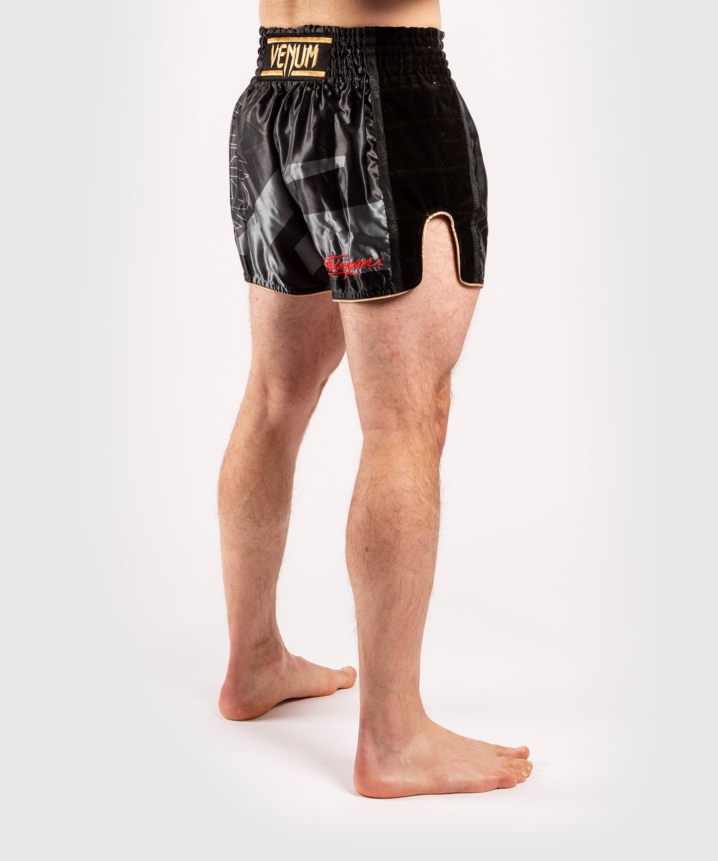 Venum Petrosyan 2.0 Muay Thai Short - Black/Gold