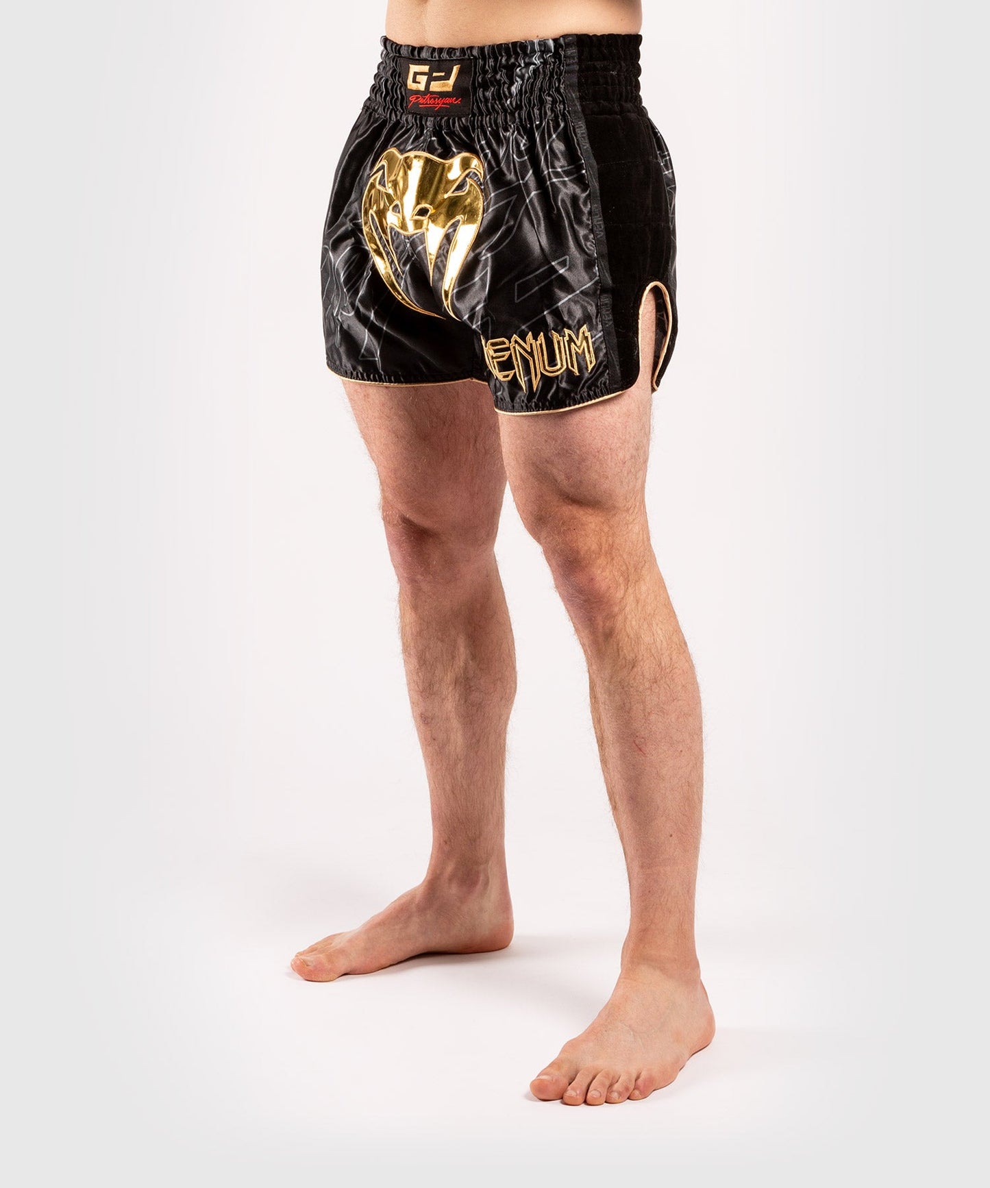 Venum Petrosyan 2.0 Muay Thai Short - Black/Gold