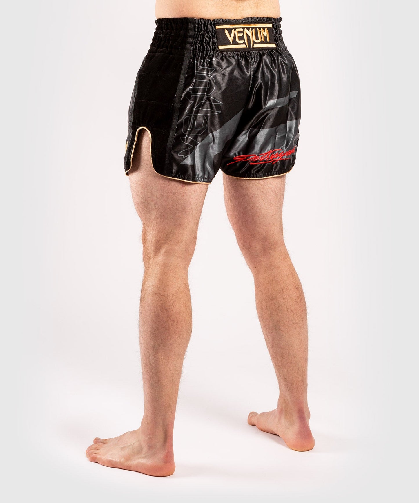 Venum Petrosyan 2.0 Muay Thai Short - Black/Gold