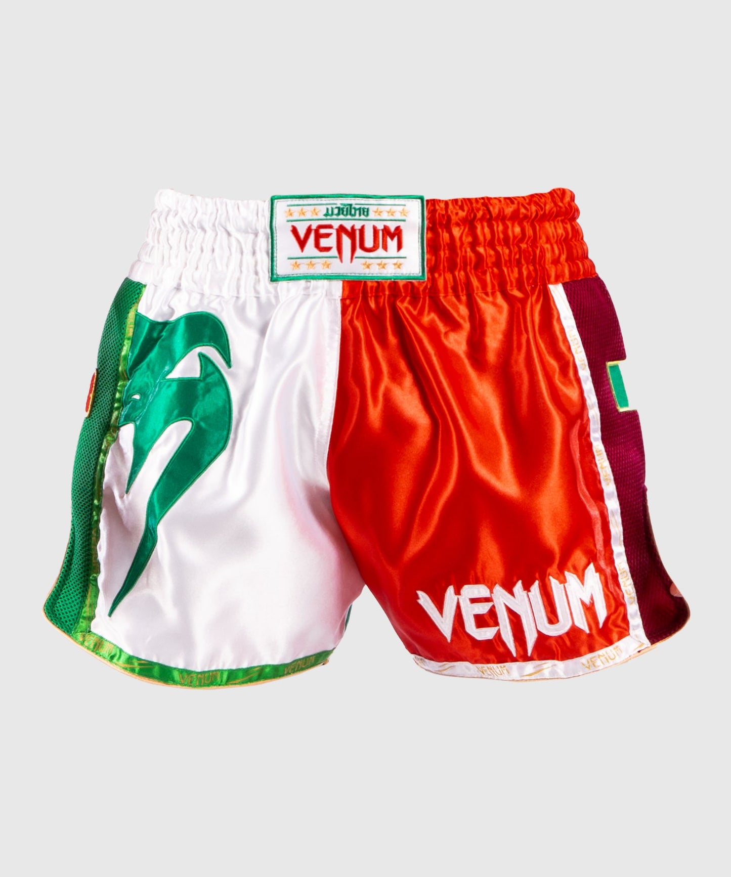 Venum MT Flags Muay Thai shorts - Italy