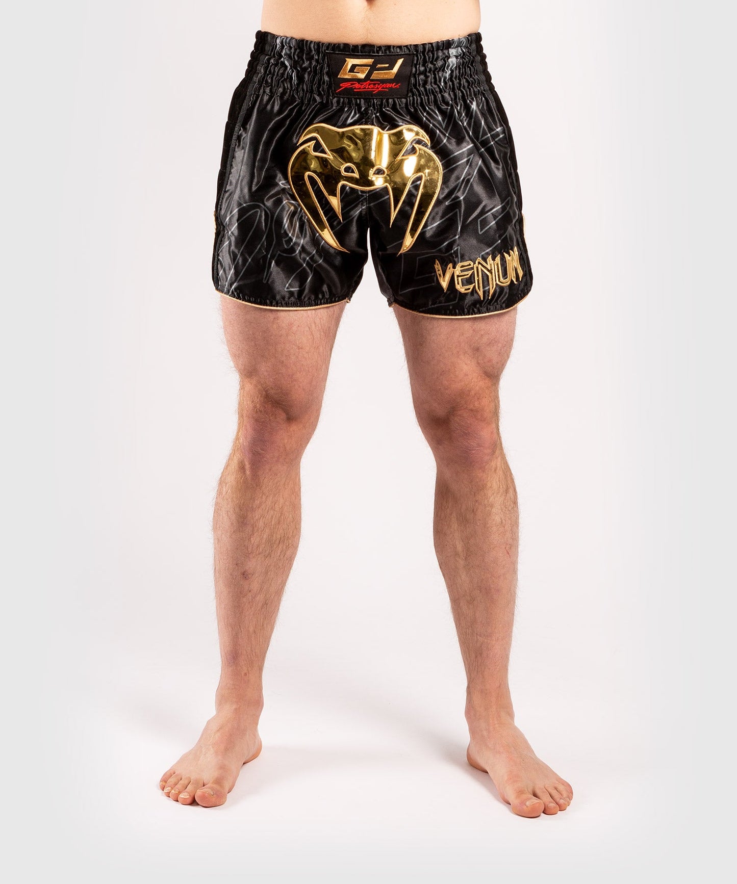Venum Petrosyan 2.0 Muay Thai Short - Black/Gold