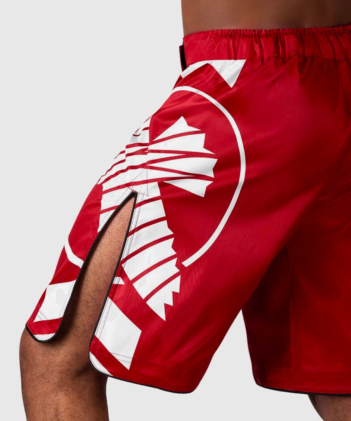 Hayabusa Icon Fightshorts - Rojo