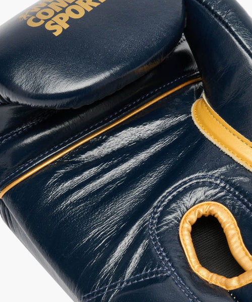 Gants de boxe Leone DNA Premium – Bleu