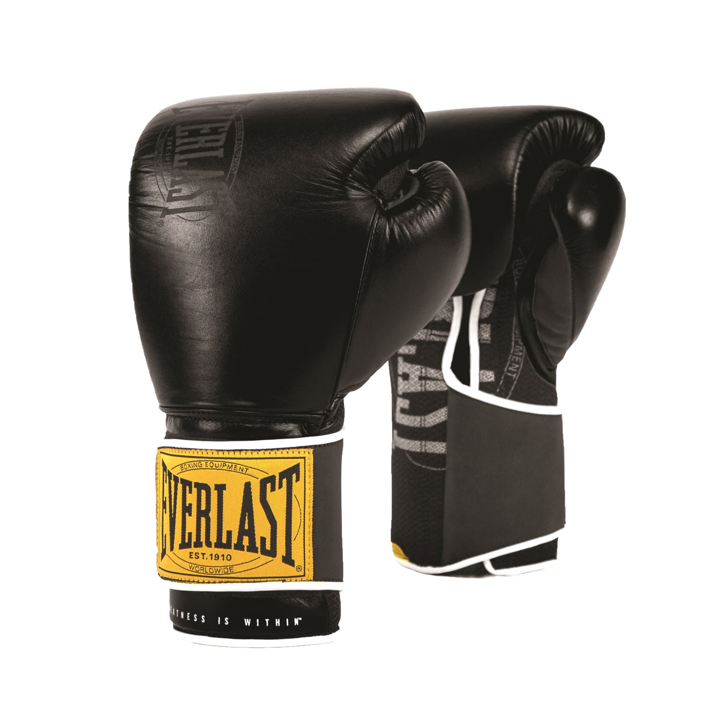 Gants de boxe Everlast 1910 Training - Noir