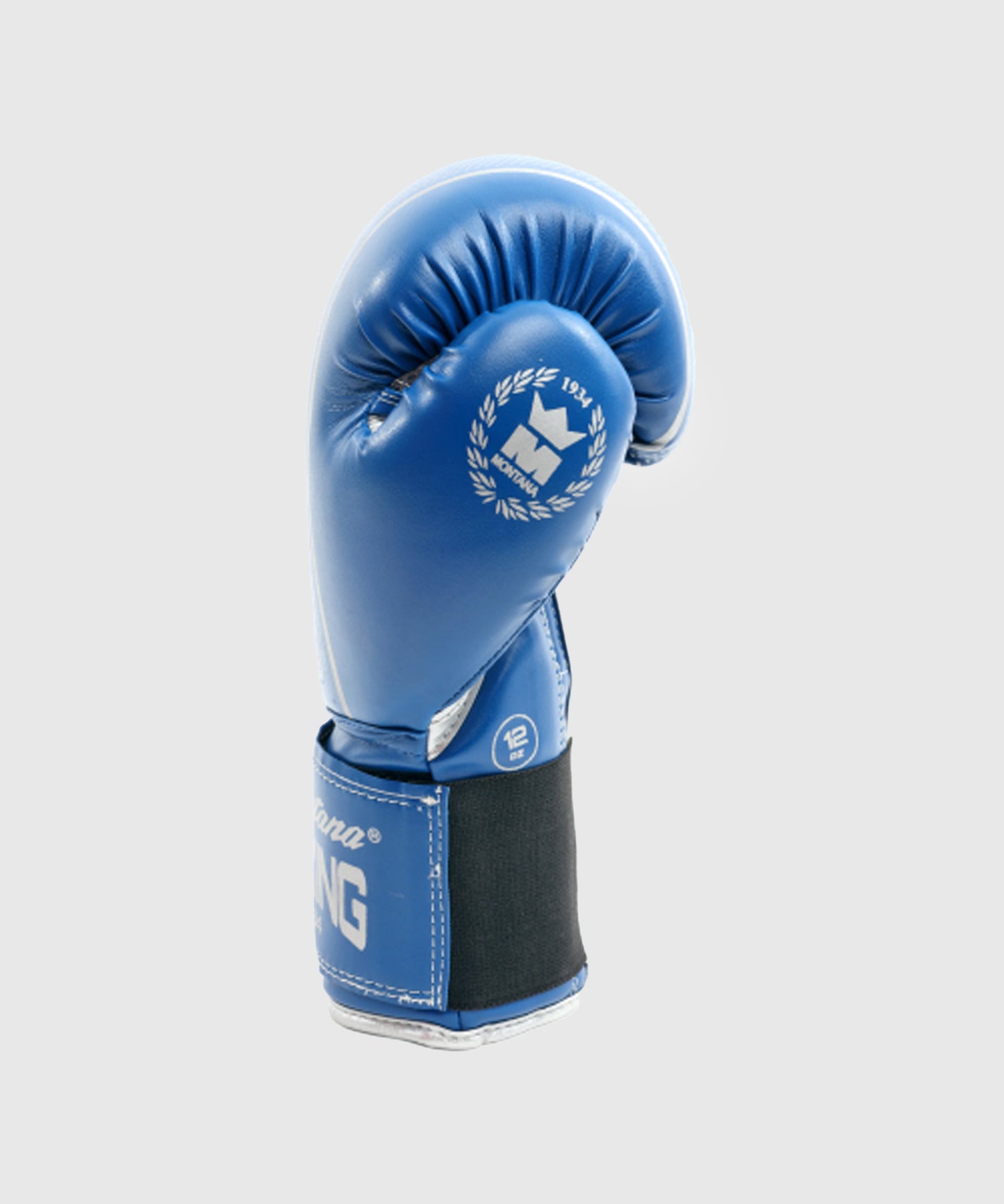 Gants de Boxe Initiation MultiBoxes Montana Hawk - Bleu