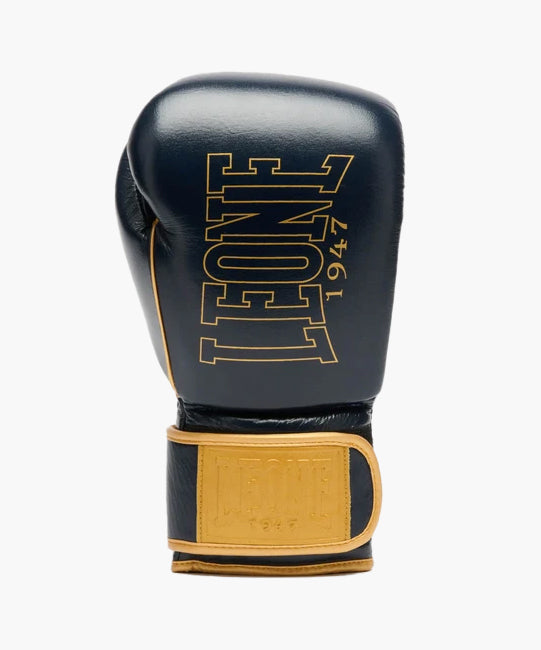 Gants de boxe Leone DNA Premium – Bleu
