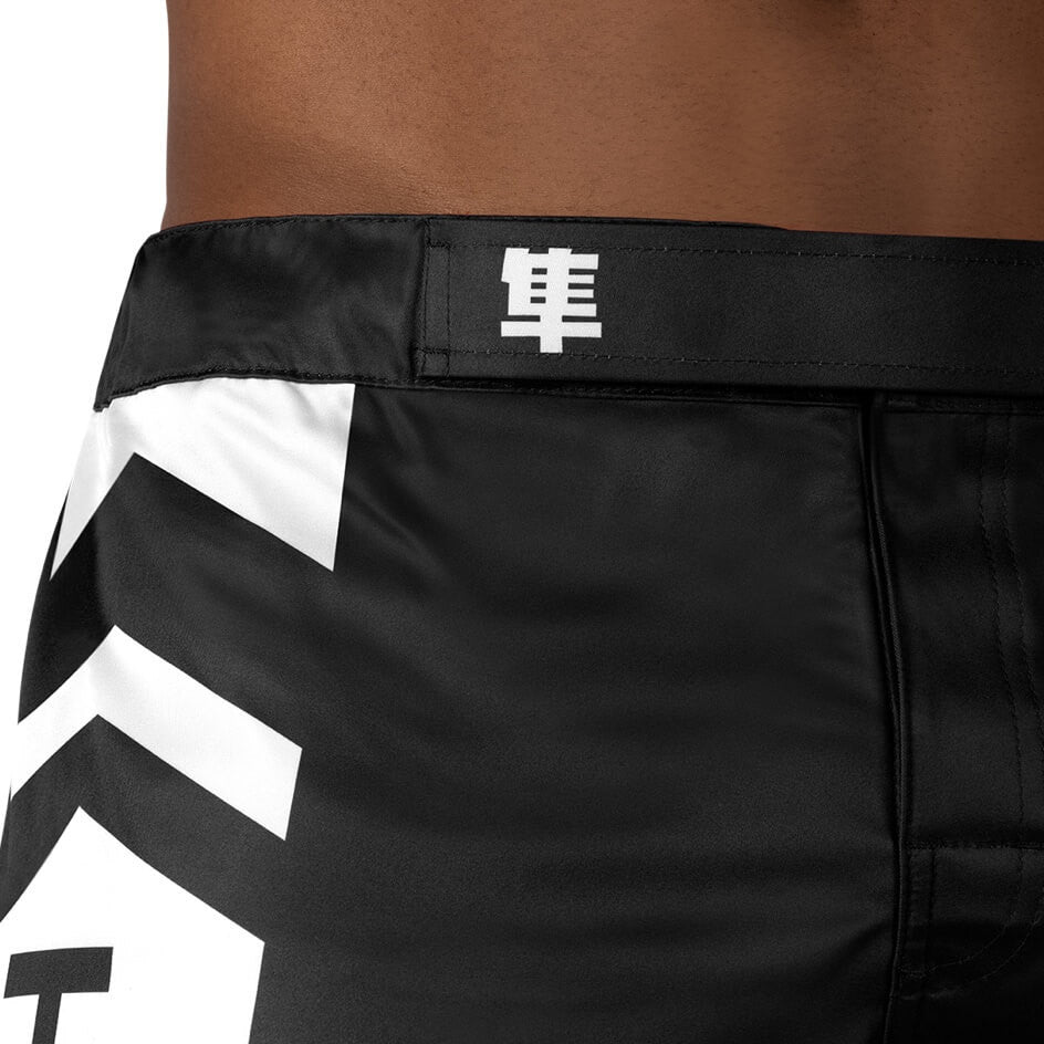 Hayabusa Icon Fightshorts