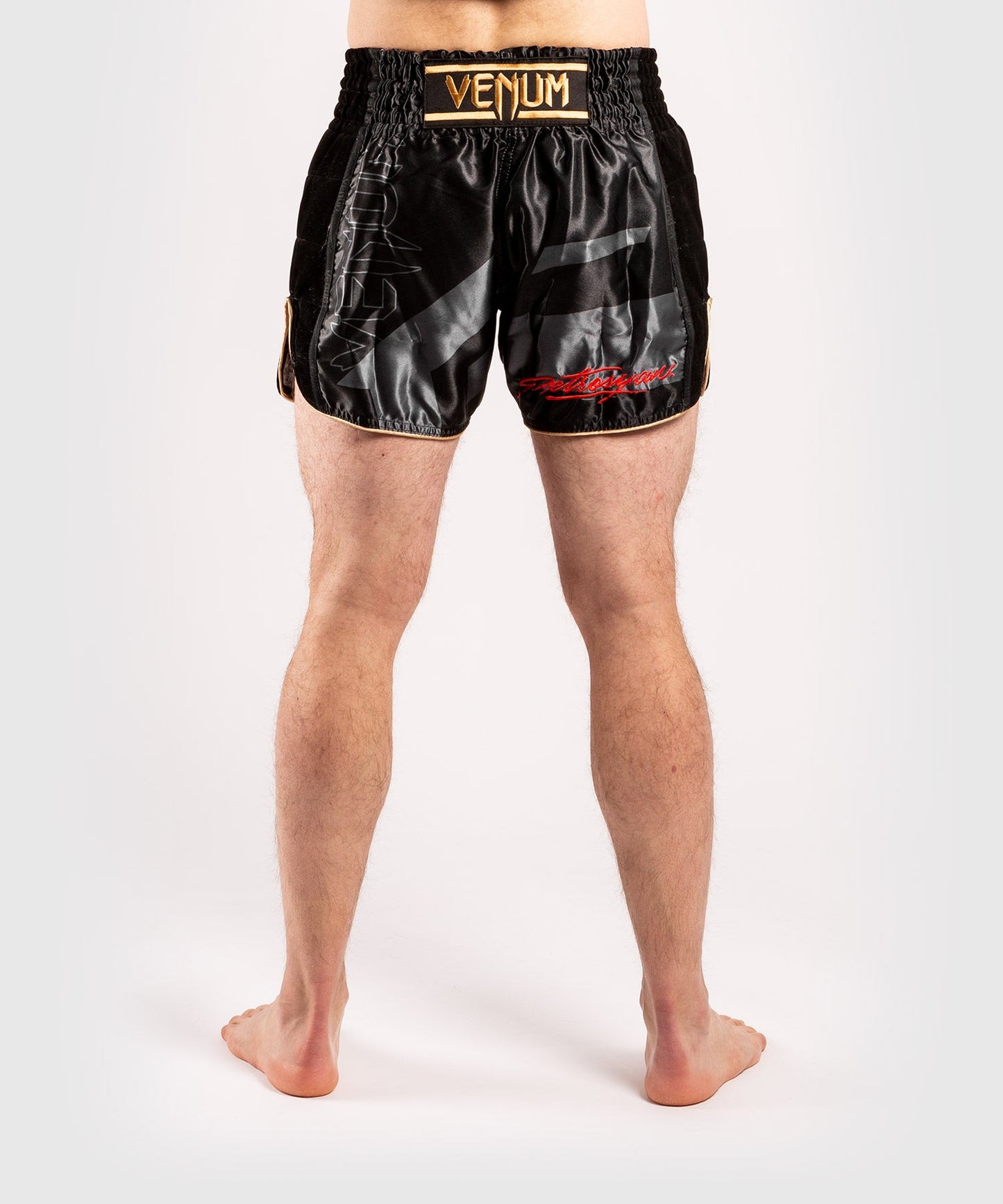 Venum Petrosyan 2.0 Muay Thai Short - Black/Gold