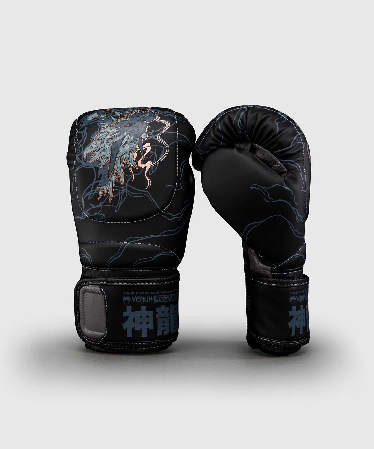 Venum Thunder Dragon Guantoni da boxe – Nero/Grigio/Rame