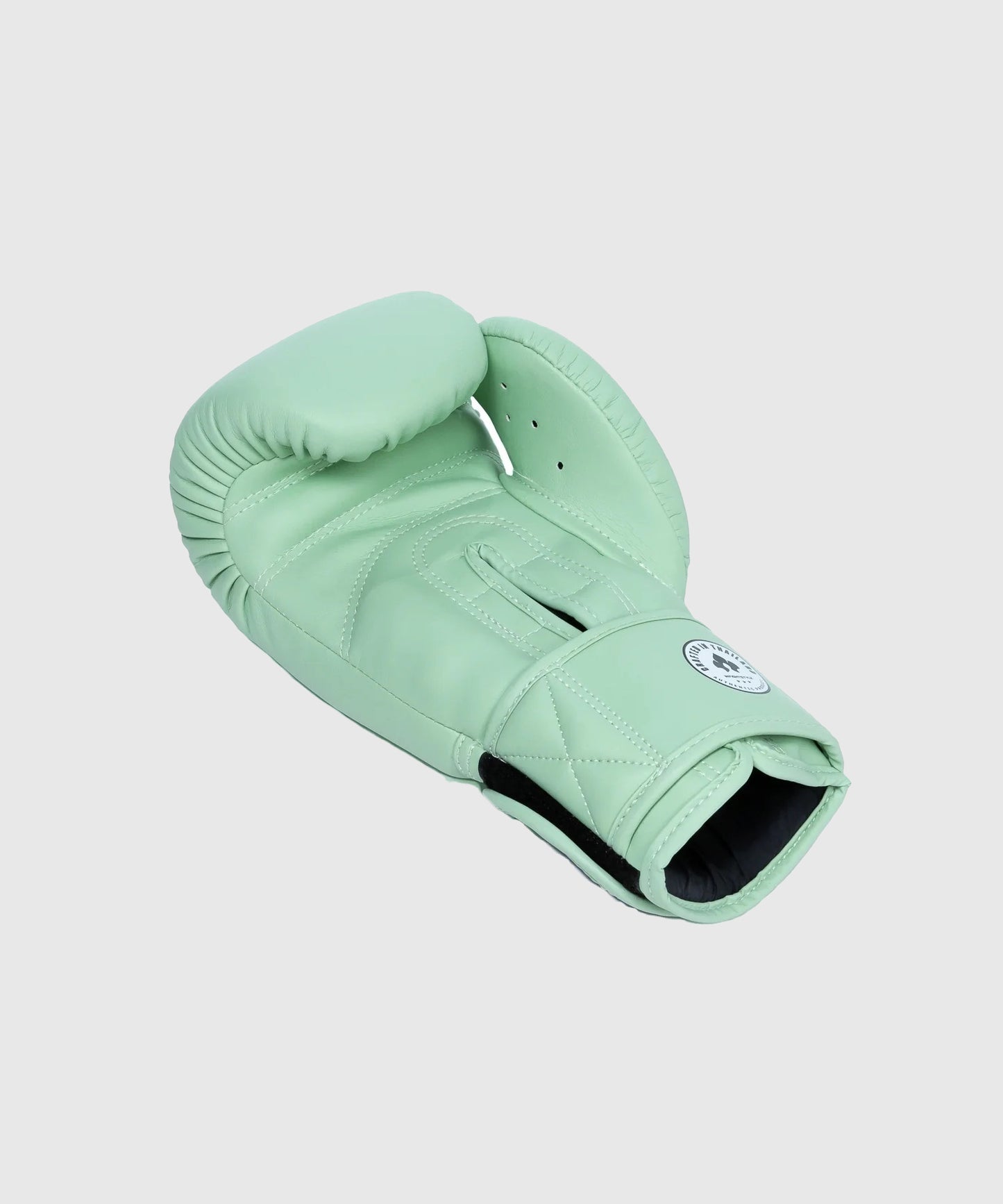 Gants de Boxe Infightstyle Pro Compact - Vert Pale